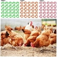 thumbnail image 5 of Paquete de 100 anillos ajustables para patas de pollo con clips para marcar aves de corral y anillos de granja y rancho (naranja), 5 of 5