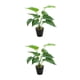 thumbnail image 1 of Planta en maceta de tortuga tropical Inteprter Hojas artificiales realistas JH5471 2Conjunto, 1 of 6
