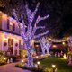 thumbnail image 1 of Guirnalda de luces LED para exteriores, impermeables, multicolor | Iluminación decorativa para patio, jardín y fiestas, 1 of 6