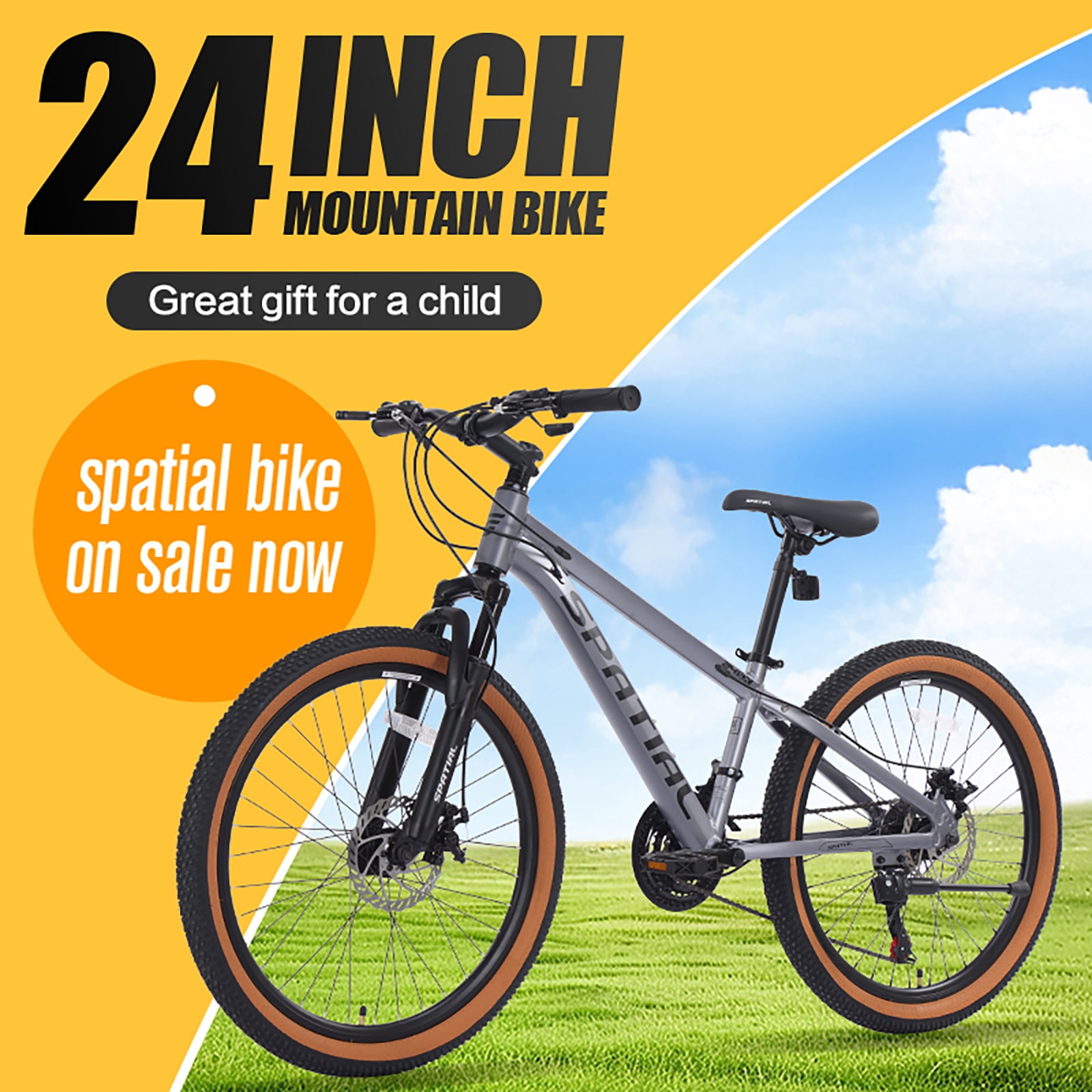 24" Wheel Mountain Bike, 21 Speed with Dual Disc Brake Mountain Bicycle, Aluminum Frame Fits Teens Womens Mens MTB Cycling Bikes