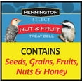 thumbnail image 6 of Pennington Nut and Fruit Treat Bell, Wild Bird Feed and Bird Seeds, 15 oz., Dry, 1 Pack, 6 of 10