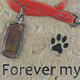 thumbnail image 4 of Design Imports CAMZ13552 DII Forever My Best Friend - Pierre Commémorative pour Animaux, 4 of 4