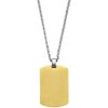 GTX Gold Stainless Steel Dog Tag, 22"