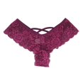 thumbnail image 1 of Tanga de encaje sexy de talla grande para mujer, ropa interior sexy y caliente, estilo europeo y americano, 1 of 6