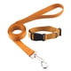 thumbnail image 5 of Collar clásico sólido para mascotas, collar básico de nailon para perros y gatos, para perros pequeños y medianos, que se puede combinar con correa y arnés con hebilla de cierre rápido, 5 of 5