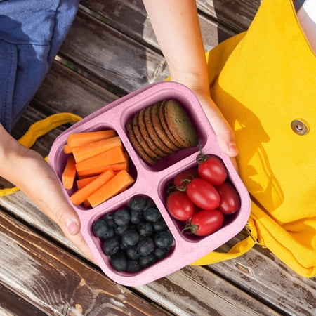 Lunchable Snack Container with Lid 4 Compartment Divided Bento Fruit Box Meal Prep Reusable Container Food Storage Containers for School Work Travel Picnic(Pink)