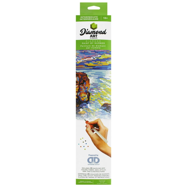 DIAMOND ART BY LEISURE ARTS Diamond Painting Kits For Adults 12x12