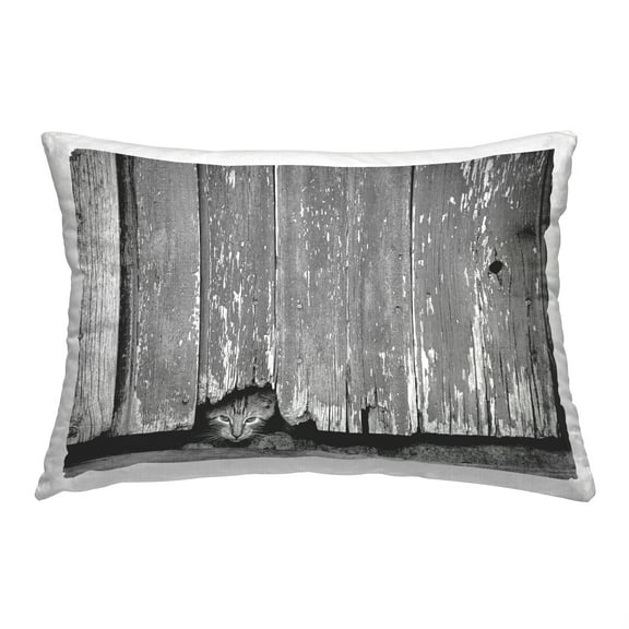 Stupell Industries Kitten Peeking Barn Decorative Printed Throw Pillow, 14 x 20