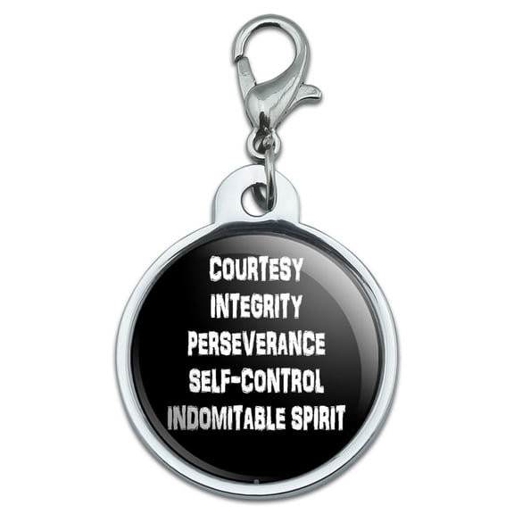 Five Tenets of Taekwondo Small Metal ID Pet Dog Tag