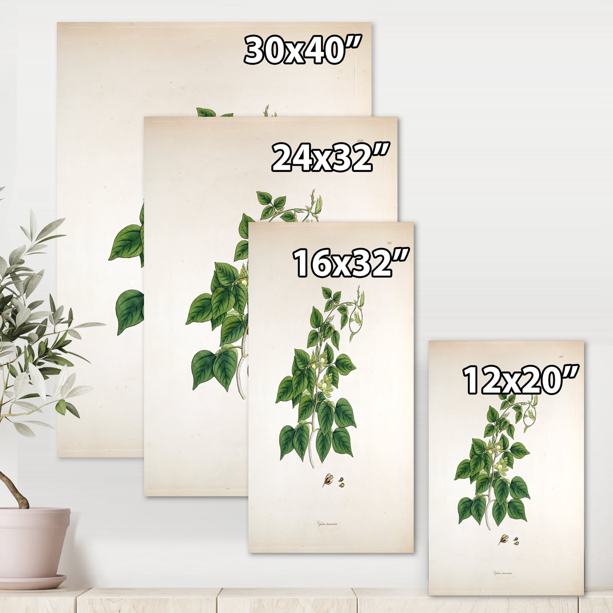 Designart ' Ancient London Plants VIII ' Farmhouse Canvas Wall Art Print