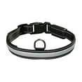 thumbnail image 1 of Eyenimal RGB Light Collar Size L, 1 of 4