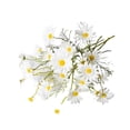 thumbnail image 1 of Flor artificial Yuarrent 20X decoración de boda Color brillante, 1 of 6