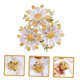 thumbnail image 3 of CRILSTYLEO De Aleación Amarillo Para Mujer En Y Celebraciones, 3 of 7