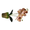 thumbnail image 3 of Flor de orquídea en maceta artificial Simulación de tela de decoración floral Orquídea falsa con maceta, Champán seitruly HA7708-02B, 3 of 6