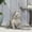 Gray + Magnesium Oxide, variant on Rustic Gold French Bulldog Garden Statue, Outdoor Dog Sculpture for Patio Decor, 16L x 9.5W x 17H Inches, No Assembly Required