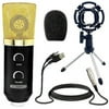 Premium Pro Audio Condenser Recording Microphone Podcast Gaming PC Studio Mic 5 Core RM-5-BG