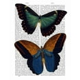 thumbnail image 2 of Fab Funky 15x18 Black Ornate Wood Framed with Double Matting Museum Art Print Titled - Butterflies 4, 2 of 4