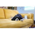 thumbnail image 2 of LAMINET Clear Heavy-Duty Water Resistant Sofa/Couch Slip Cover - Sofa, 2 of 6