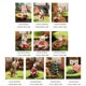 thumbnail image 3 of Mini Adornos Navideños De Resina, 8 Uds., Mini Adornos De Animales Familiares, Escena, Adornos De Muñecas Pequeñas, Regalos De Navidad Guardurnaity HA039051-00, 3 of 6