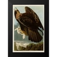 thumbnail image 2 of Vintage Apple Collection 13x18 Black Modern Framed Museum Art Print Titled - Golden Eagle, 2 of 5
