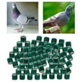 thumbnail image 4 of Qualitchoice 100Pcs 2022 Aluminium Dove Racing Pigeon Foot Rings Bands Small Poultry 8mm Green, 4 of 8