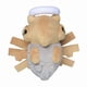 thumbnail image 2 of Pokemon Center: Sitting Cuties: Shedinja Plush # 292 -  Generation 3 - 6 In, 2 of 3