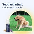 thumbnail image 5 of Honest Paws Dog Dry Shampoo - Waterless No Rinse Foaming Formula - 6.3 oz, 5 of 9