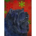 thumbnail image 1 of Caroline's Treasures Red and Green Snowflakes Holiday Christmas 2-Sided Garden Flag, 1 of 7