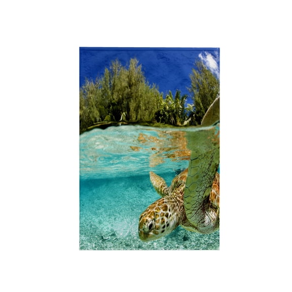 3dRose, Green sea turtle, Bora Bora, French Polynesia - OC13 MWT0255 - Michele Westmorland, 15x22 Hand Towel
