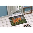 thumbnail image 4 of Carolines Treasures HEH0098MAT Tapis d'Intérieur Ou d'Extérieur- 18 x 27, 4 of 4