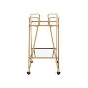 Linon Mia Metal and Mirrored Mid-Century 2 Level Rolling Bar Cart in Gold