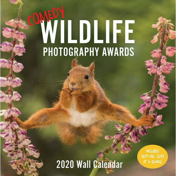 Comedy Wildlife 2020 Wall Calendar (Funny 2020 Wall Calendar, Funny