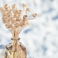 thumbnail image 2 of Dosaele Diffuser Sticks Scent Aromatherapy Rattan Aroma Sticks with Flower 24X3CM, 2 of 8