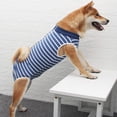 thumbnail image 1 of Traje de recuperación para perros Monos para gatos para heridas abdominales Camisa de recuperación para hombres y mujeres Traje quirúrgico ajustado después de la cirugía Monos para perros antilamidos, 1 of 5