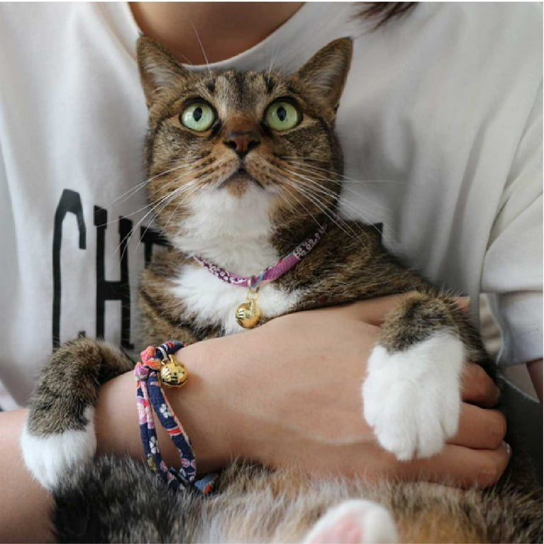 Necoichi cat sale collar
