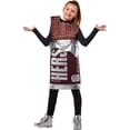 thumbnail image 1 of Hershey Chocolate Bar Child Costume, 1 of 1