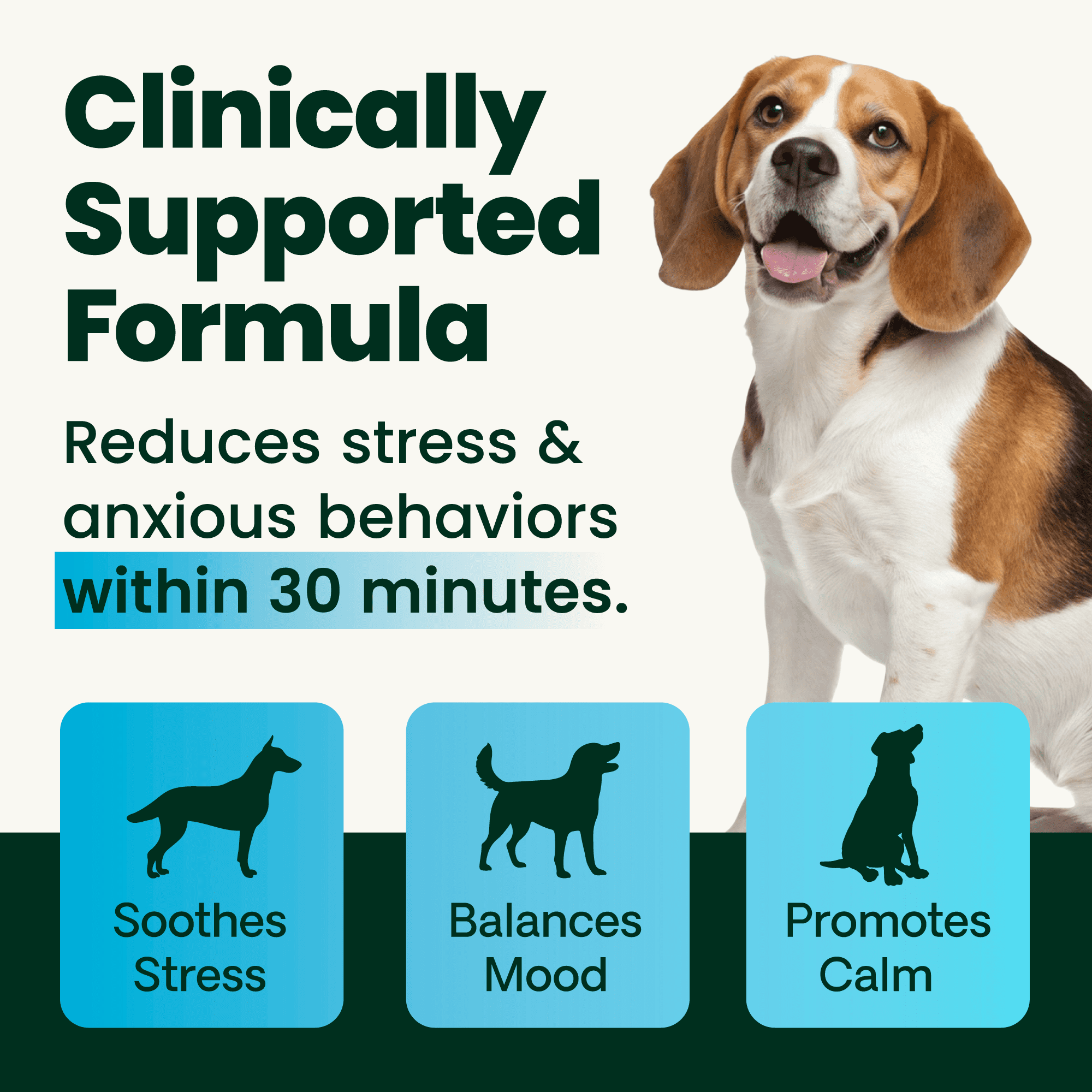 VetriScience Composure Calm & Confident Clinically Tested Bacon Flavored Chews, Calming & Anxiety Supplement for Dogs, 120 count