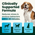 thumbnail image 3 of VetriScience Composure Calm & Confident Unflavored Liquid Formula, Calming & Anxiety Supplement for Dogs & Cats, 3 of 12