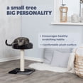 thumbnail image 3 of TRIXIE Junior Tarifa  Plush & Sisal 20.5" Scratching Post with Padded Platform, Dark Gray, 3 of 7