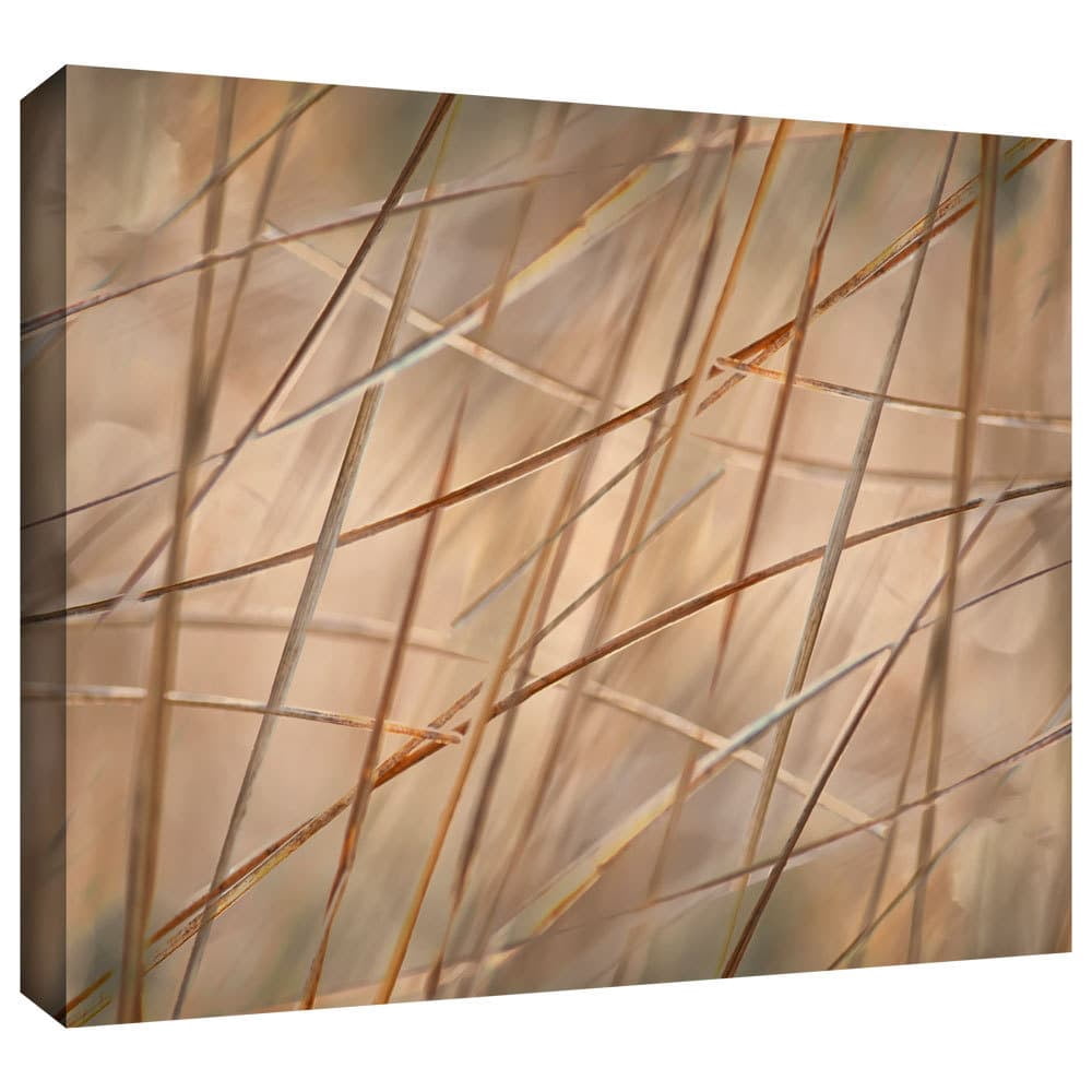 ArtWall Cora Niele "Deschampsia" Gallery-Wrapped Canvas