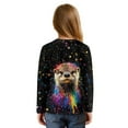 thumbnail image 2 of Xixirimido Colorful Paint Otter Pattern Girls Casual T-Shirt Crew Neck Tunic Tops Long Sleeve Loose Fit Soft Blouse Tie-hem Tees for Fall Winter, Size 9-10, 2 of 7