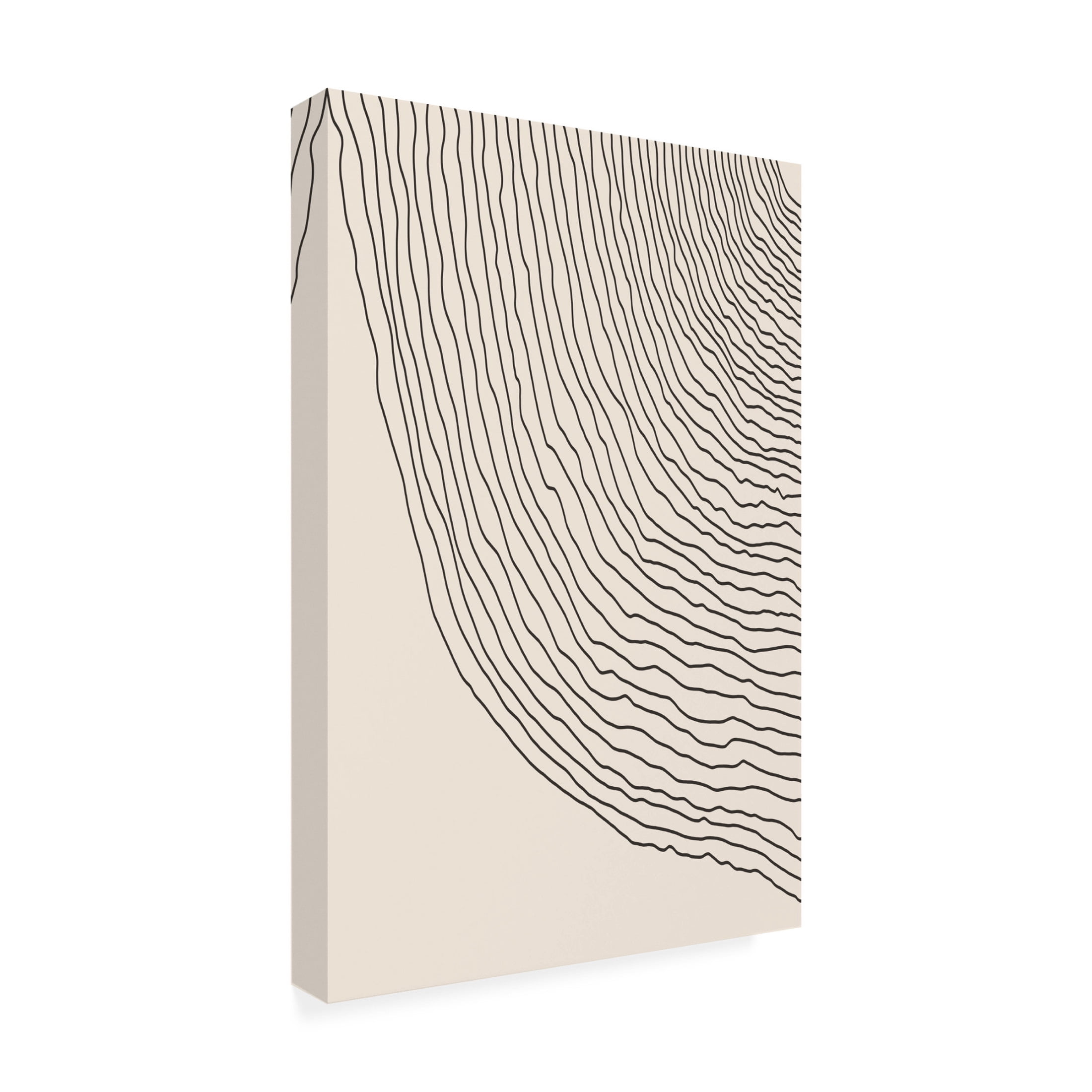 Trademark Fine Art jay stanley  Boho Lines Series 6 Canvas Wall Art