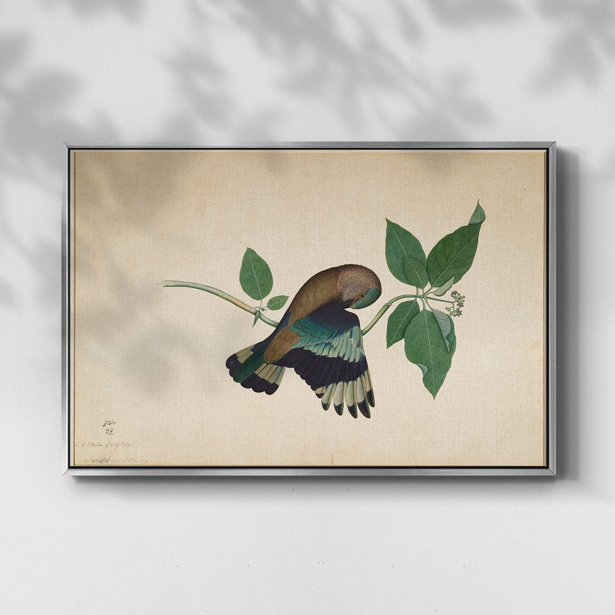Vintage Animal Print-XXII By Wexford Home Framed in Silver Wood Gallery Wrapped Canvas 17 in. x 25 in.
