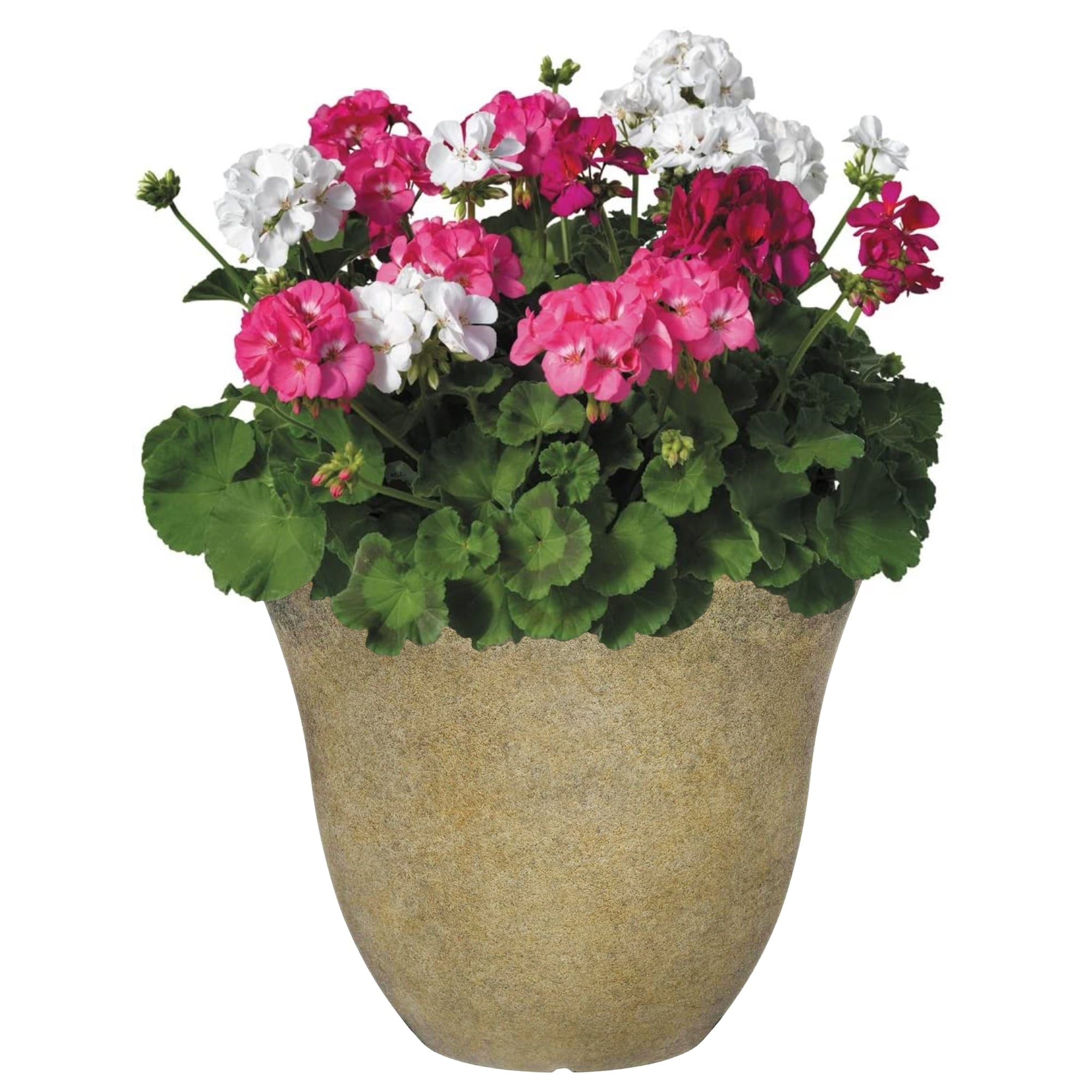 Classic Home and Garden Indoor/Outdoor Round Honeysuckle Resin Flower Pot Planter, Fossil Stone, 15"