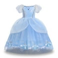 thumbnail image 1 of Robe Princesse à Manches Bouffantes pour Filles, Robe Tutu en Tulle Cendrillon de Fête Chic, 1 of 3