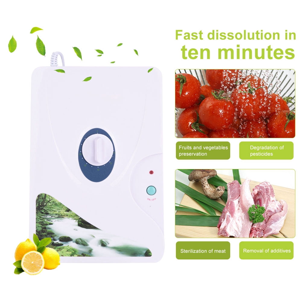 Générateur D'ozone 600 Mg/h – Purificateur Air, Destructeur Odeurs, Stérilisation Fruits Et Eau