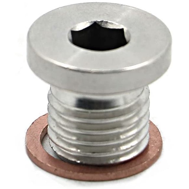 Alpha Rider Crankcase Engine Oil Drain Plug and Washer for Polaris RZR 570 800 900 1000, Sportsman 570 600 700 800 850