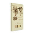 thumbnail image 2 of Trademark Fine Art 'Species of Lichen V' Canvas Art by Unknown, 2 of 3