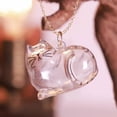 thumbnail image 3 of CTDWNT Collier Souvenir en Fourrure de Chat, Pendentif Capsule Commémoratif de Poils d'Animaux avec Rangement Visible, Cadeau de Collection Unique pour Amateur de Chats, PVC et Alliage, Chaîne de 17,55 Pouces, 3 of 8