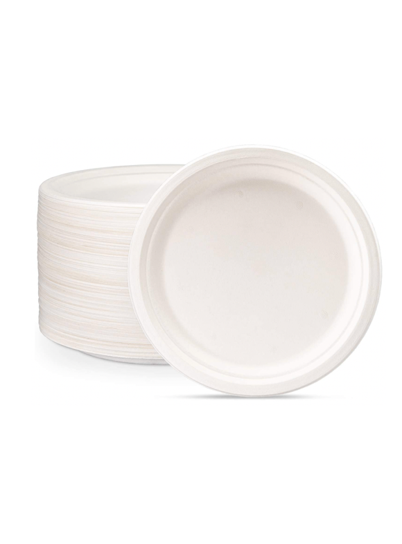 Compostable Plates in Compostable Tableware
